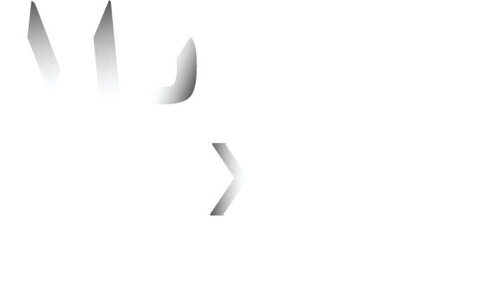 Money Expo